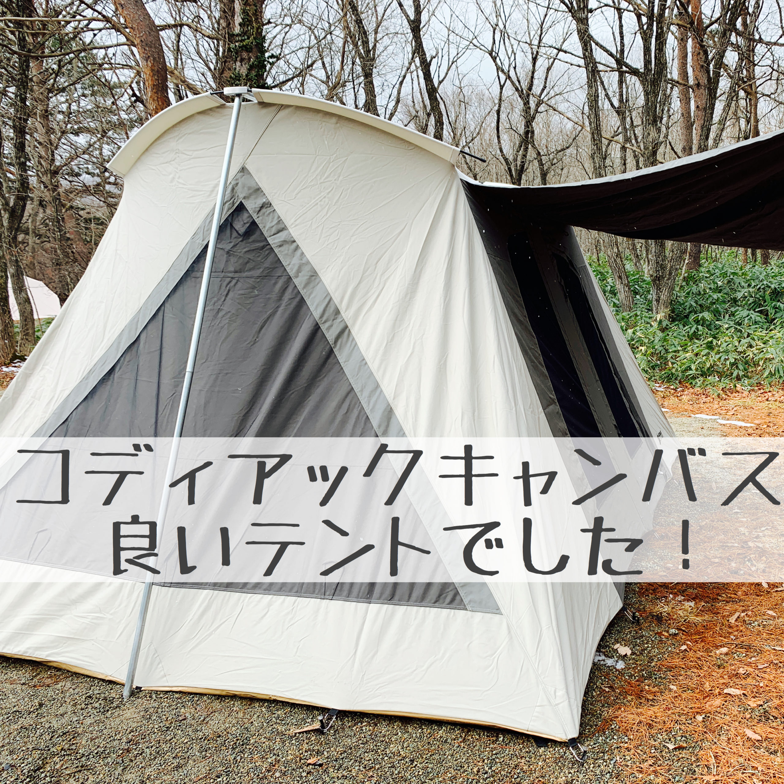 Kodiak Canvas Flex-Bow テント ファミリー コットン カンバス (VX 8人用)